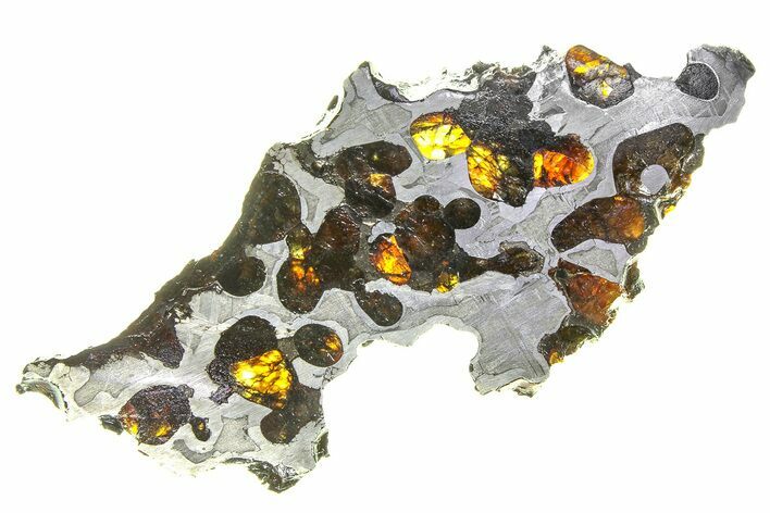 Brenham Pallasite Meteorite ( g) Slice - Kansas #294806